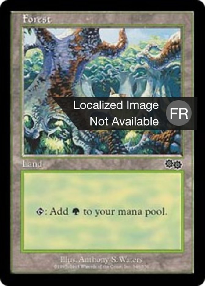 Forêt