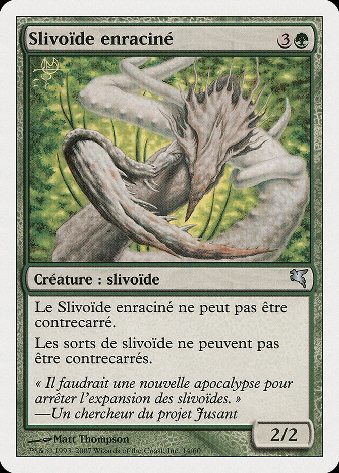 Slivoïde enraciné