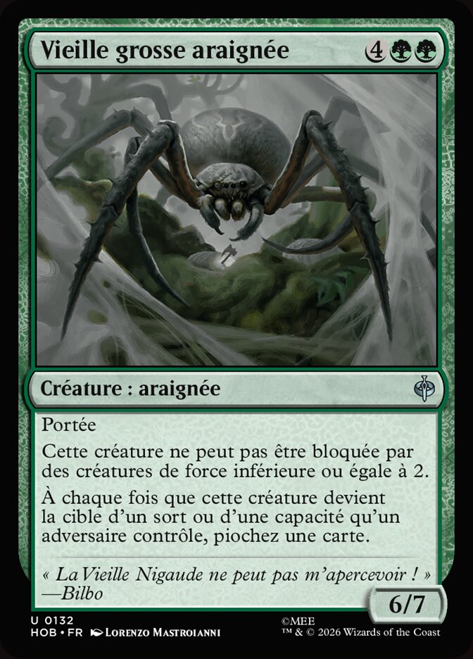 Vieille grosse araignée