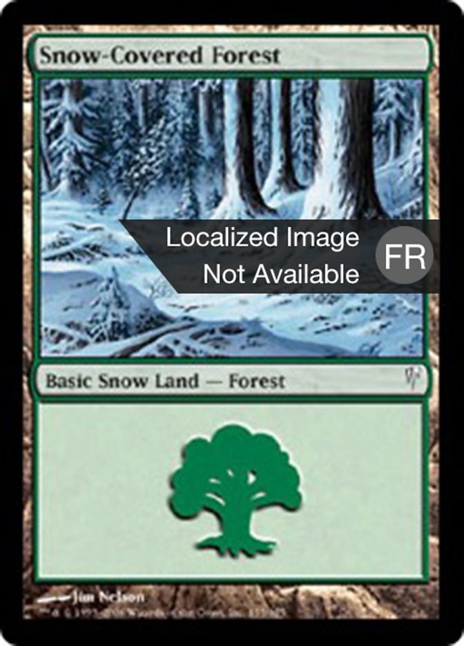 Forêt enneigée