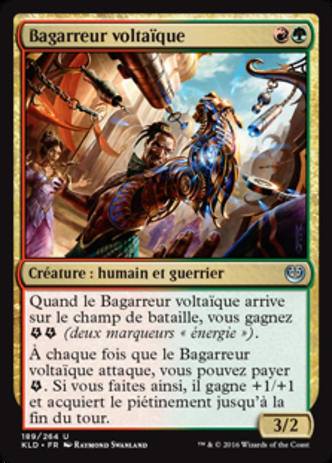 Bagarreur voltaïque