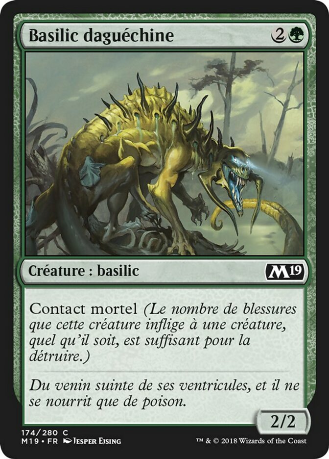 Basilic daguéchine