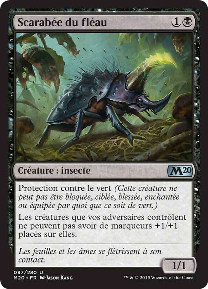 Scarabée du fléau
