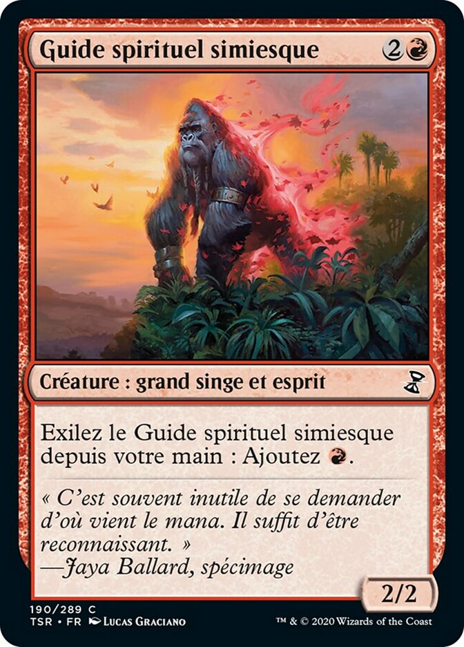 Guide spirituel simiesque