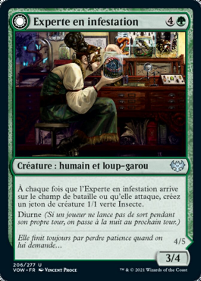 Experte en infestation