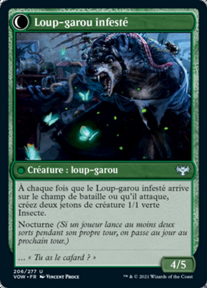Experte en infestation