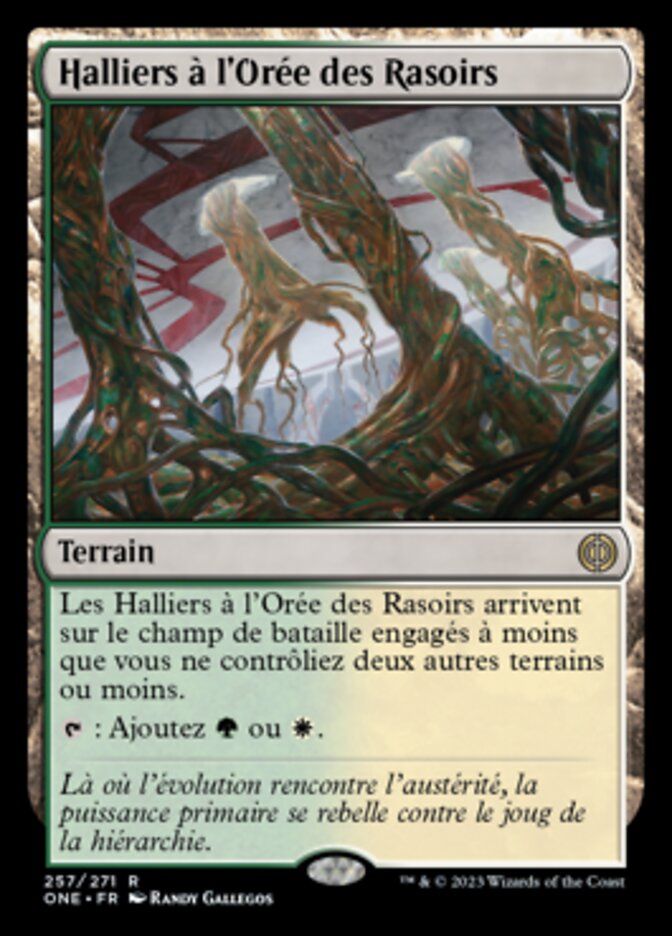 Halliers à l'Orée des Rasoirs