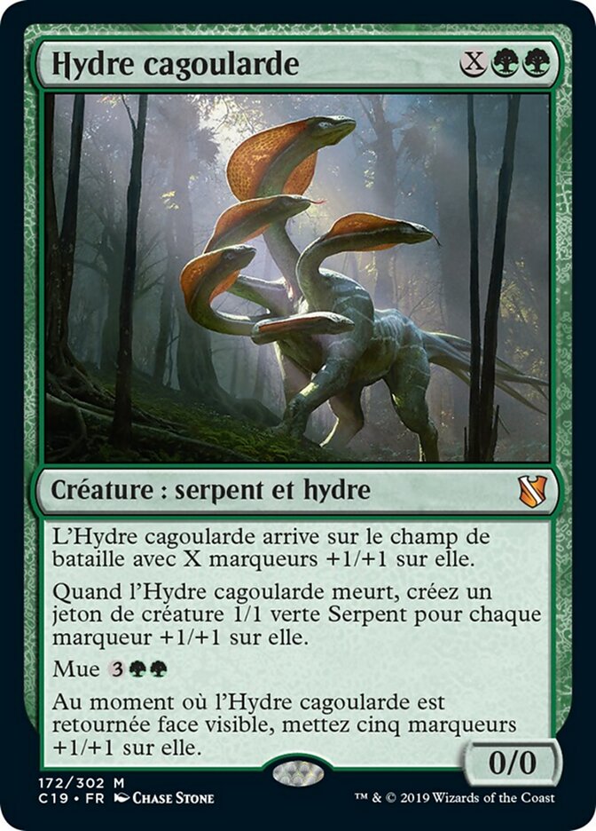 Hydre cagoularde