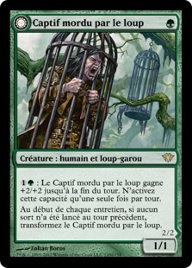 Captif mordu par le loup