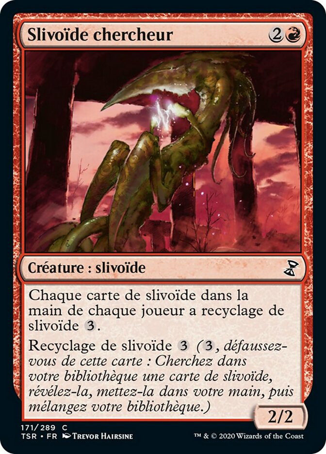 Slivoïde chercheur