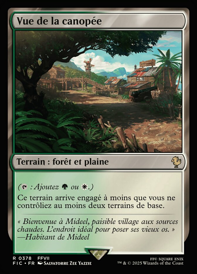 Vue de la canopée