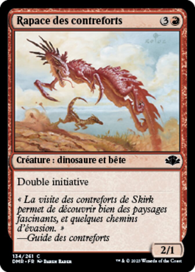Rapace des contreforts