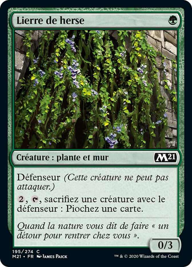 Lierre de herse