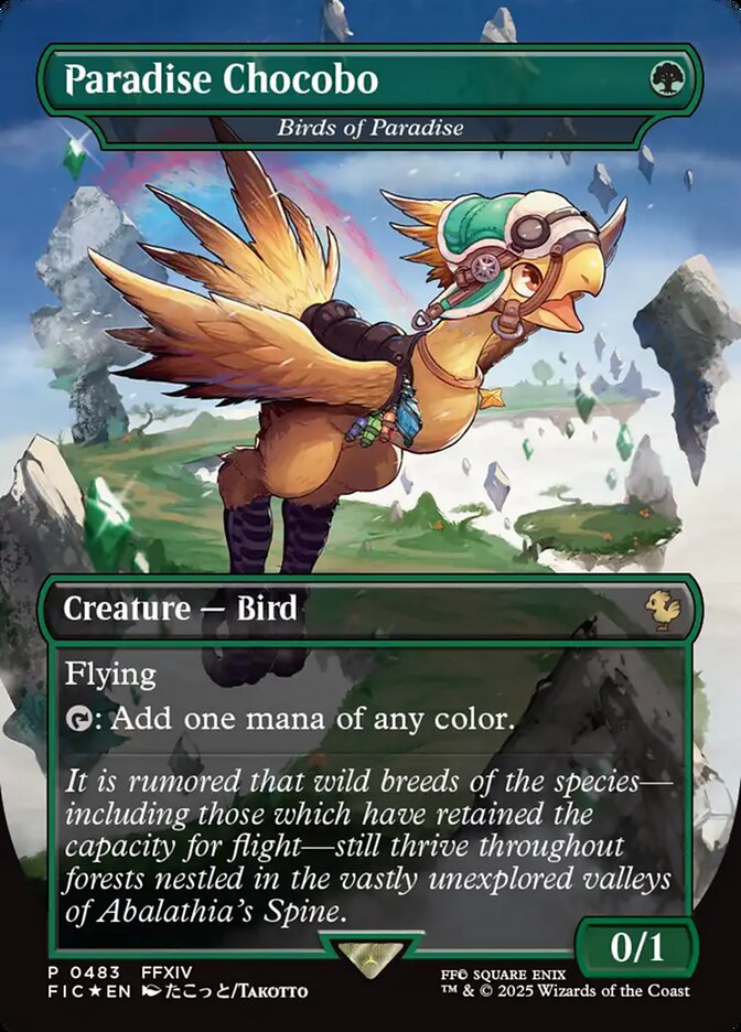 Birds of Paradise