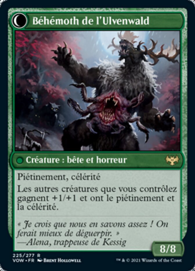 Bizarrerie de l'Ulvenwald