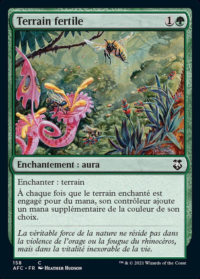 Terrain fertile