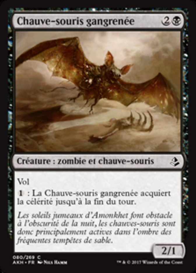 Chauve-souris gangrenée