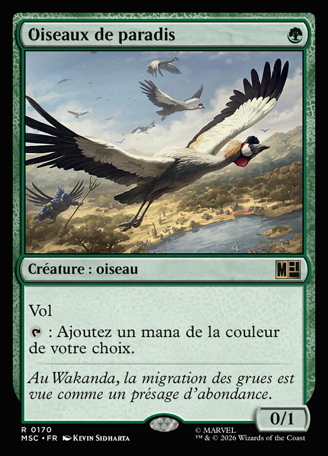 Oiseaux de paradis