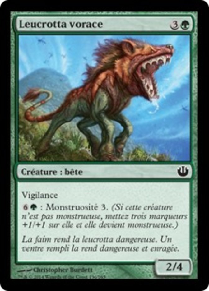 Leucrotta vorace