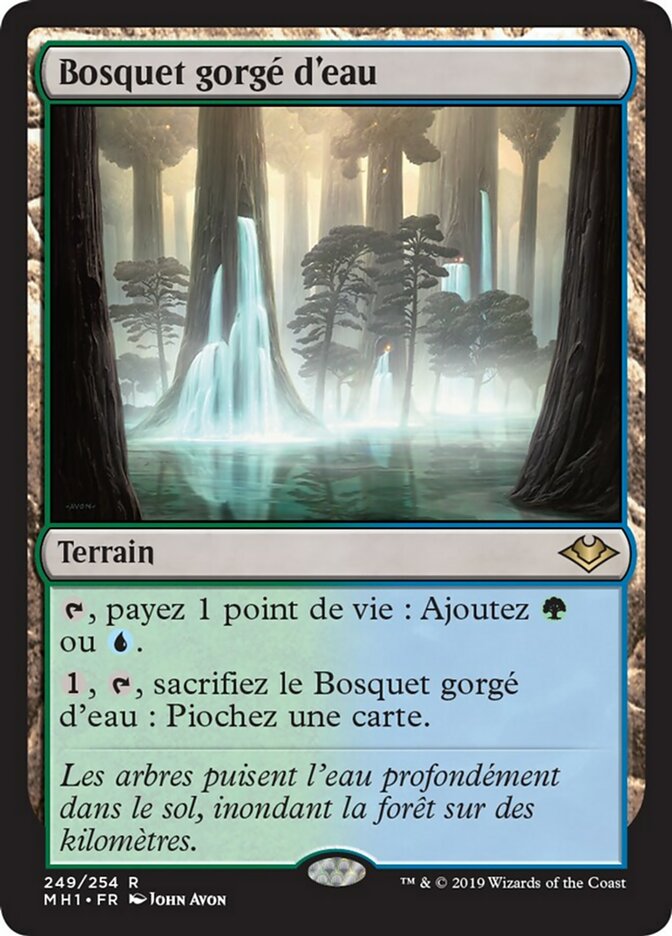 Bosquet gorgé d'eau