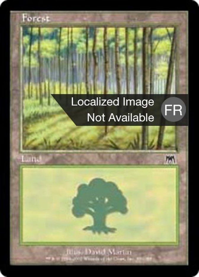 Forêt