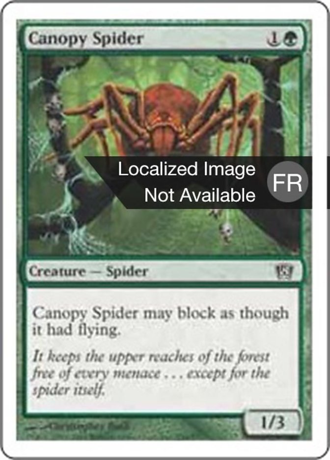 Araignée de la canopée