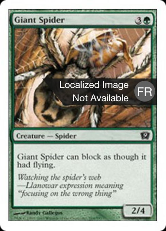 Araignée géante