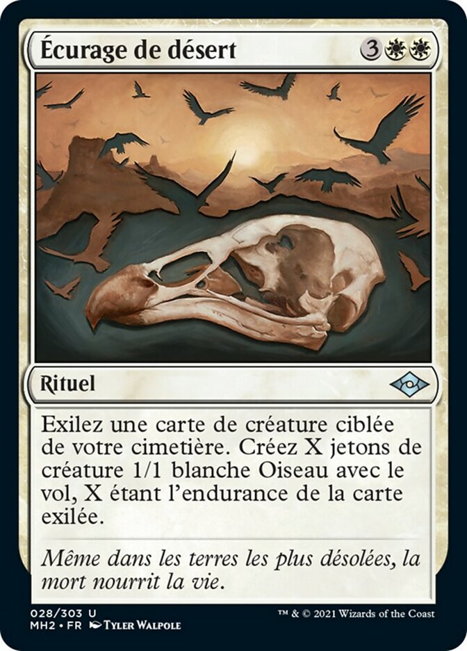 Écurage de désert
