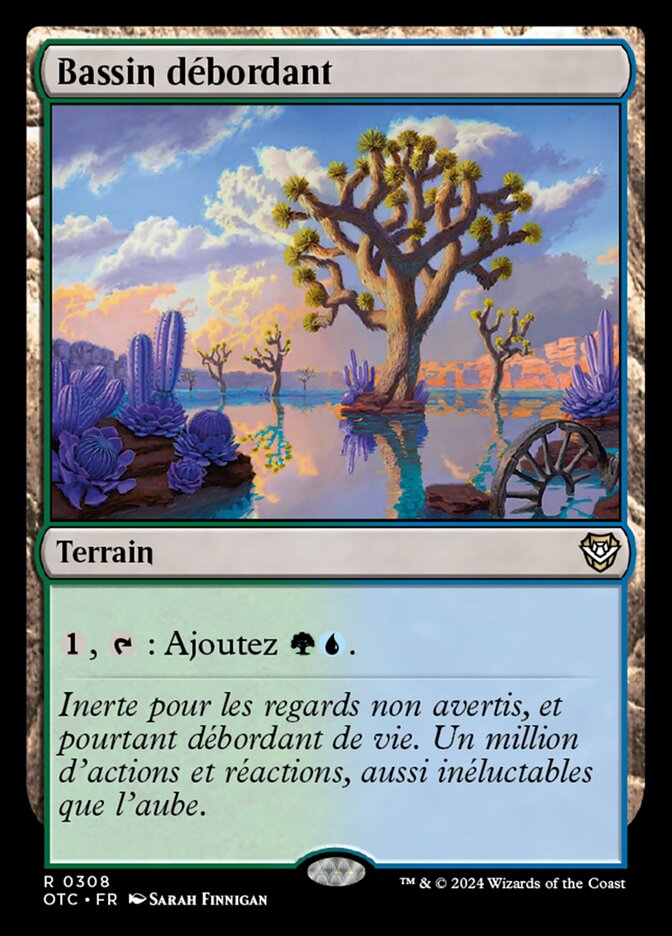 Bassin débordant