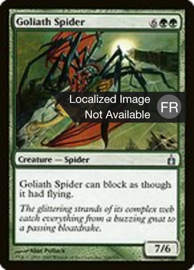 Araignée goliath