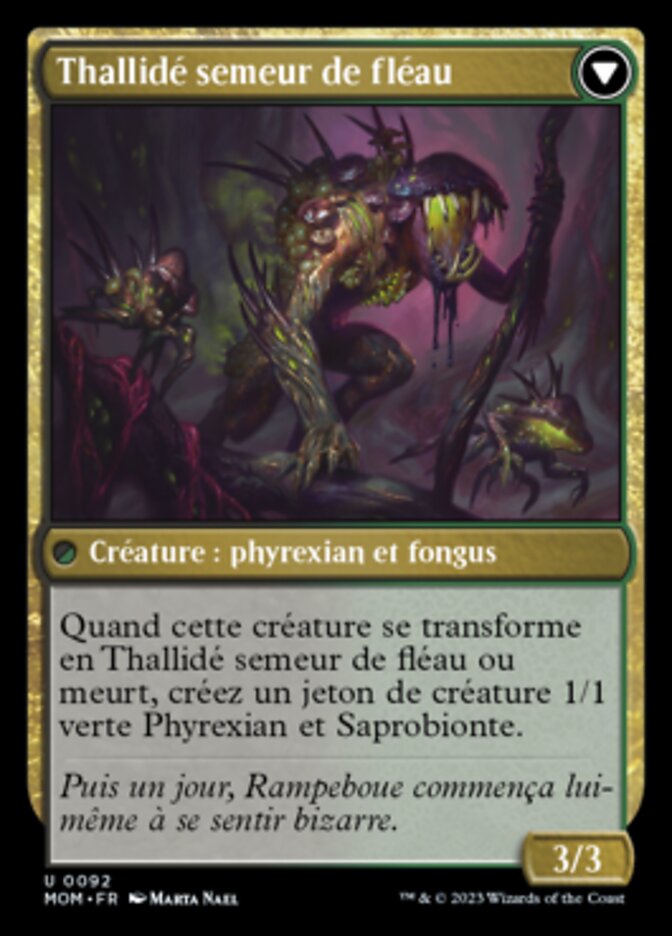 Thallidé faucheur de fléau