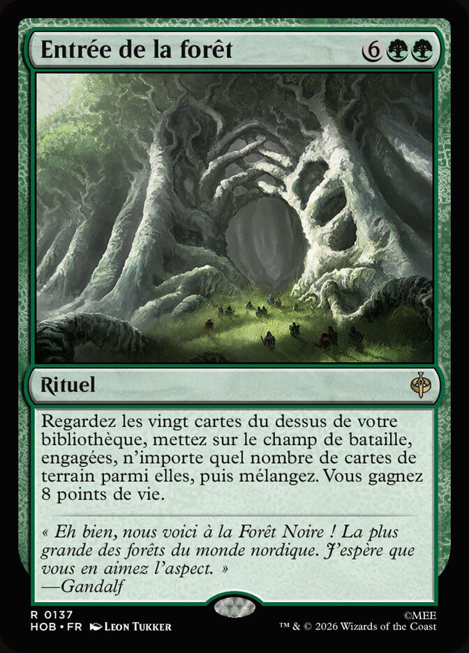 Entrée de la forêt