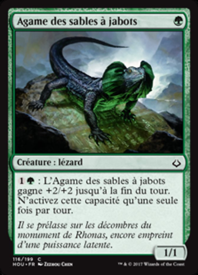 Agame des sables à jabots