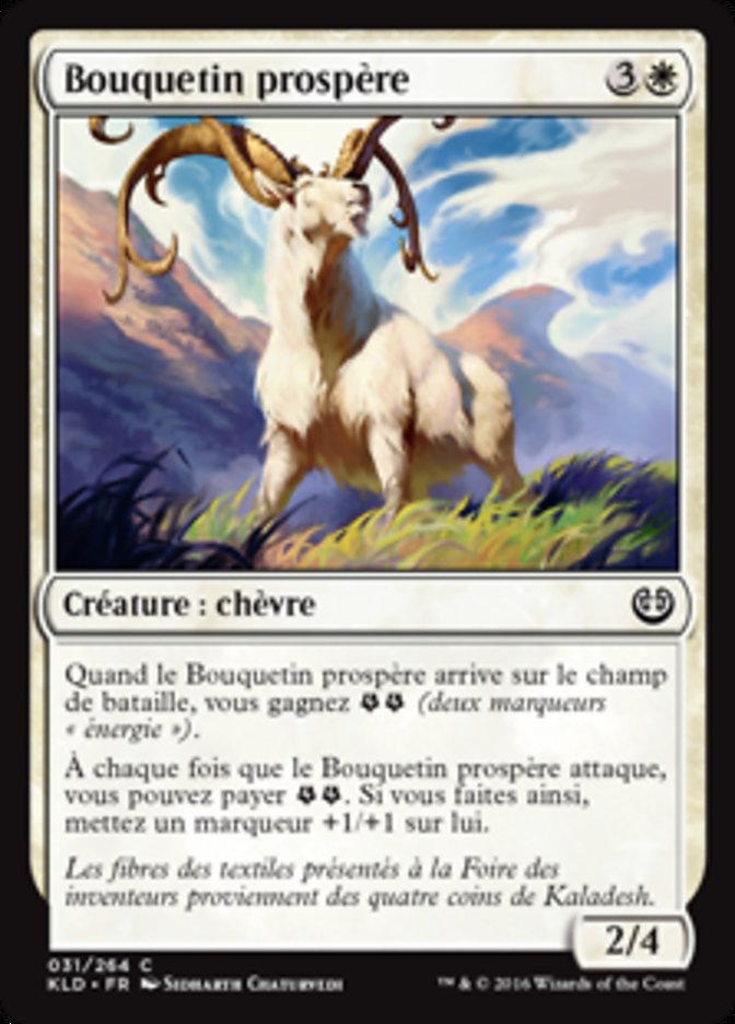 Bouquetin prospère