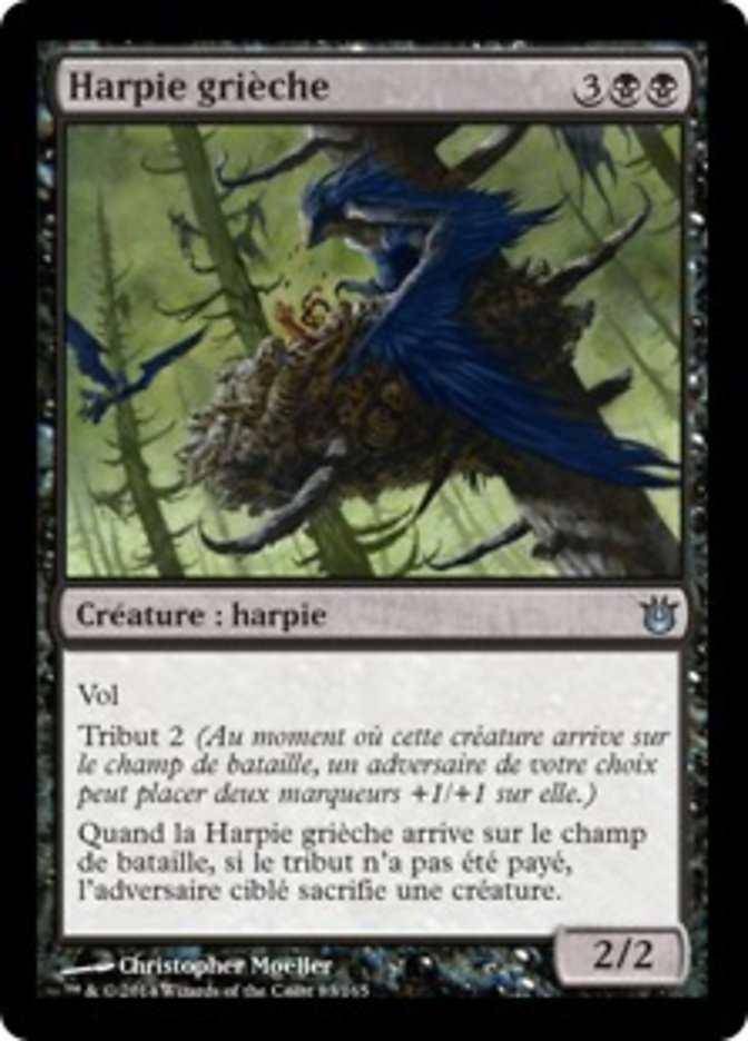 Harpie grièche