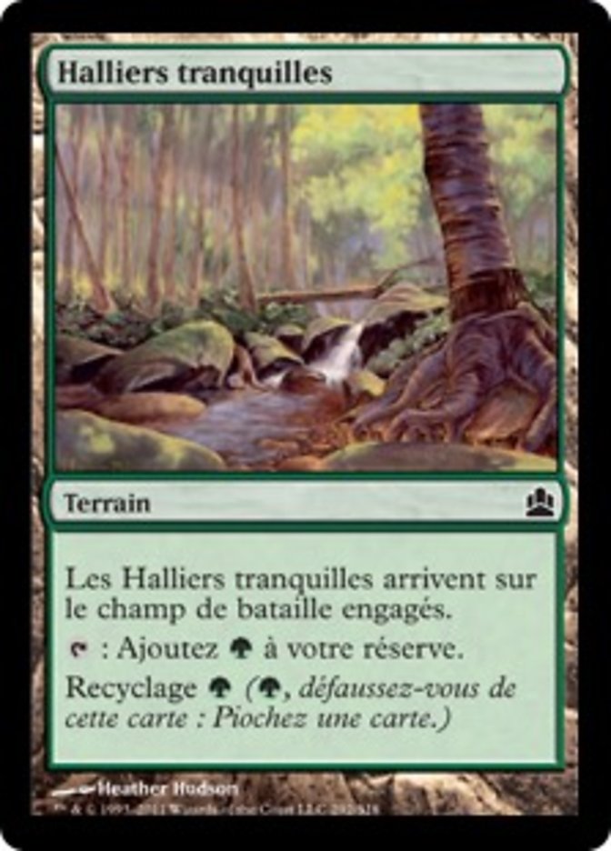 Halliers tranquilles