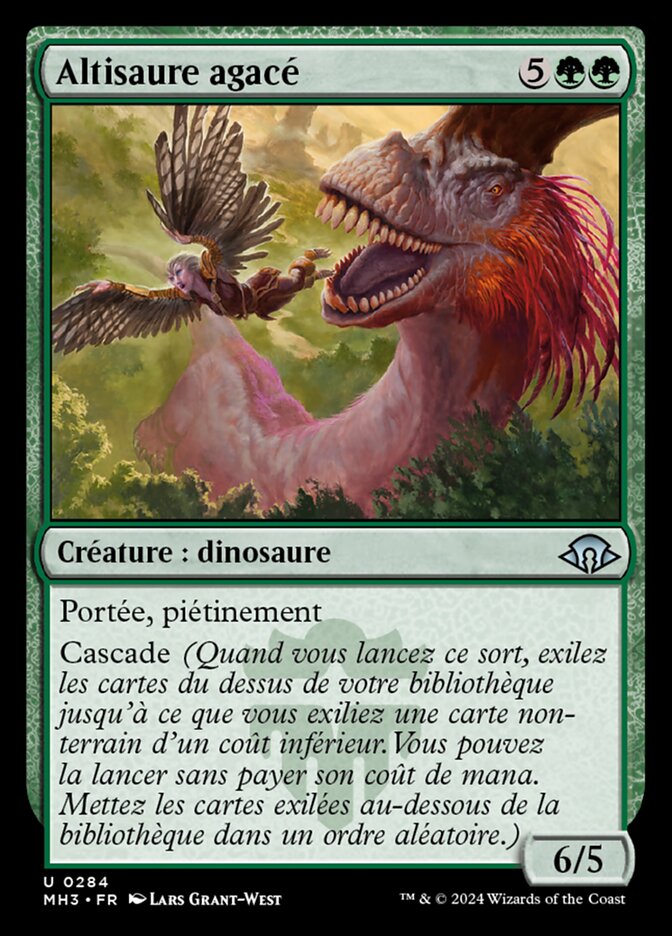 Altisaure agacé