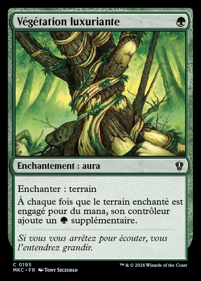 Végétation luxuriante