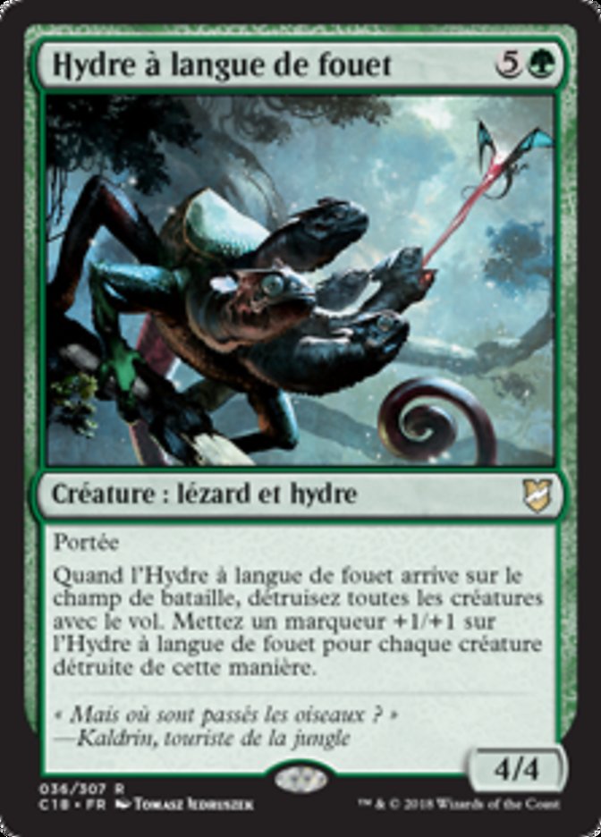 Hydre à langue de fouet