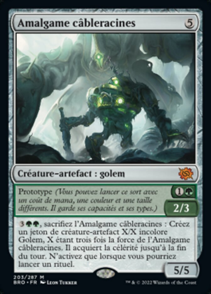 Amalgame câbleracines