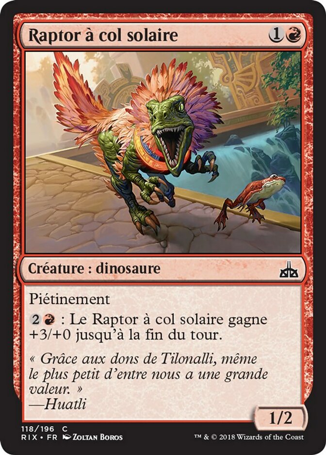 Raptor à col solaire