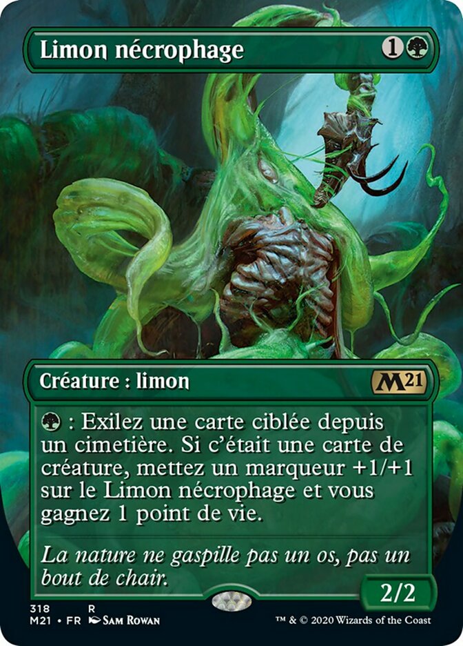 Limon nécrophage