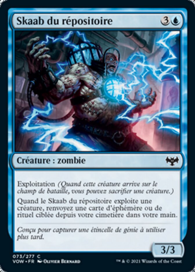 Skaab du répositoire
