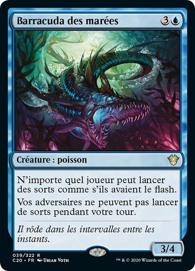 Barracuda des marées
