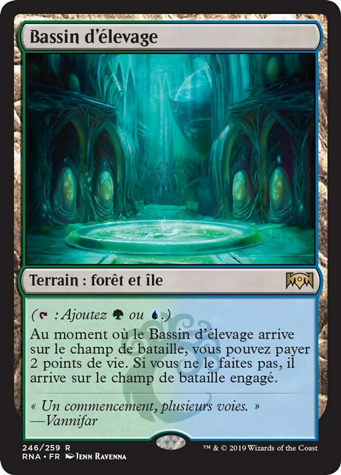 Bassin d'élevage