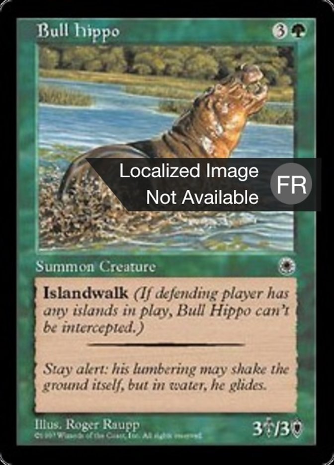 Hippopotame mâle