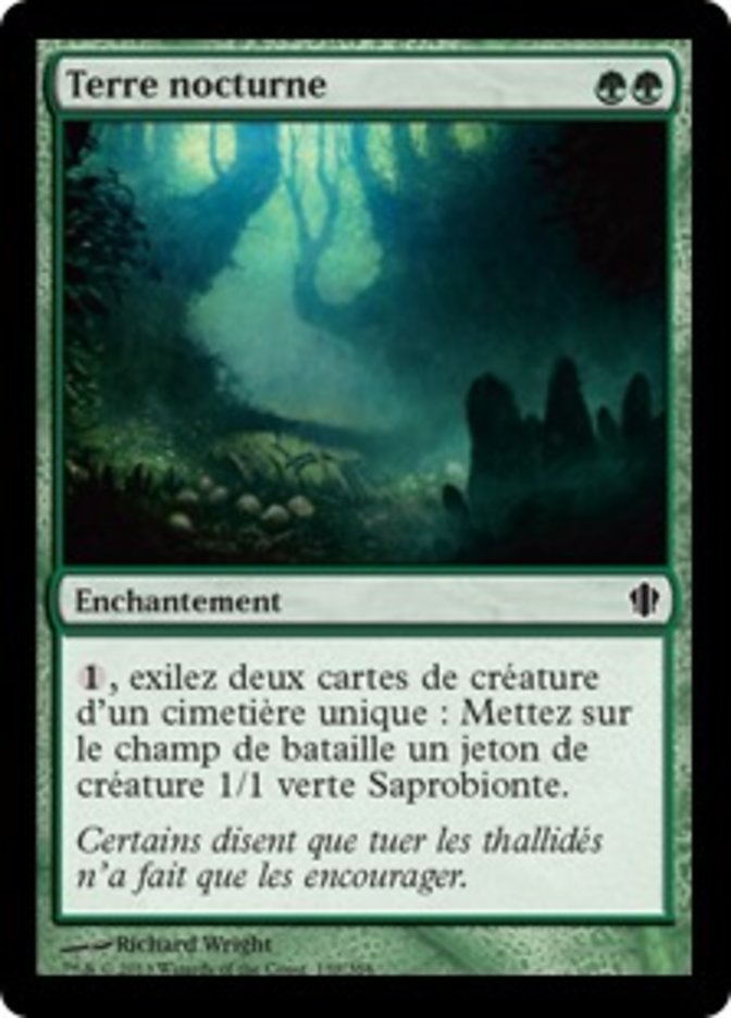 Terre nocturne