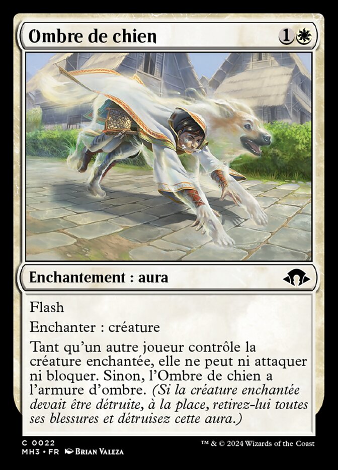 Ombre de chien