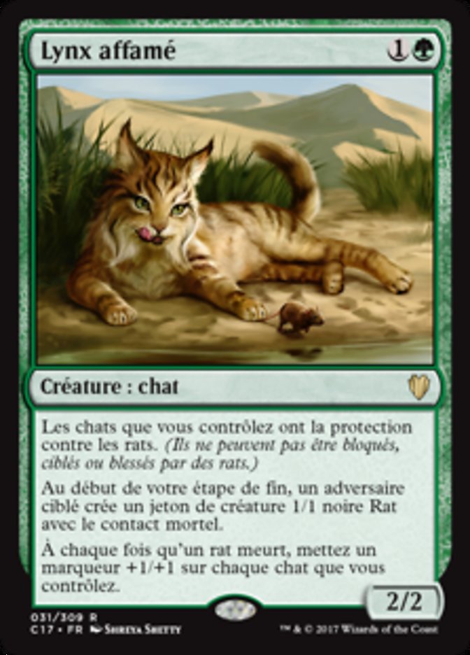 Lynx affamé
