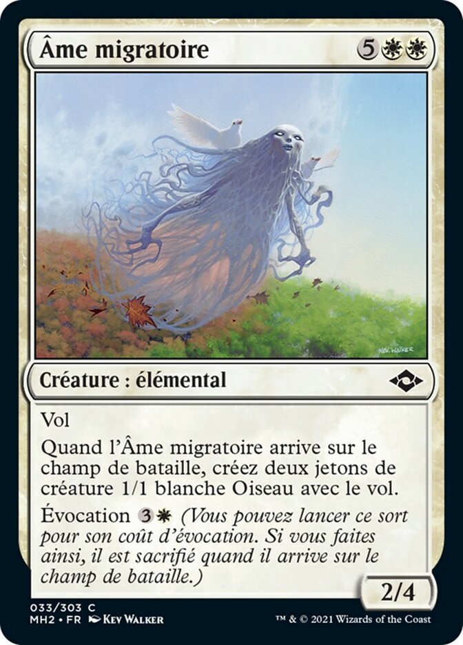 Âme migratoire